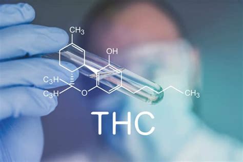 does tch oil concentrate harder to pass drug test|how much thc to fail a drug test.